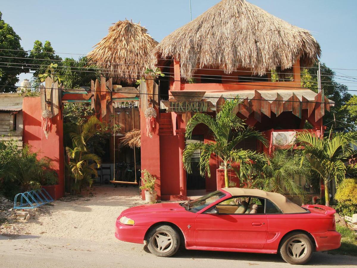 Black Jaguar Hostel Bacalar Eksteriør bilde